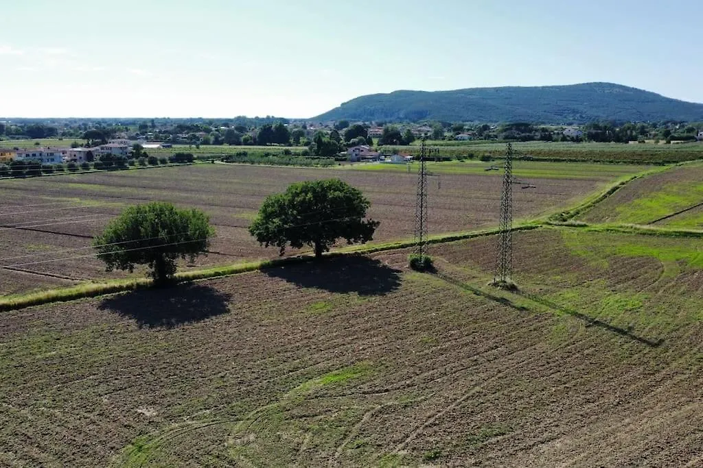 Appartamento Casa Del' 900 San Giuliano Terme Italy